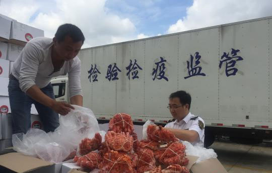 进口食品销毁公司
